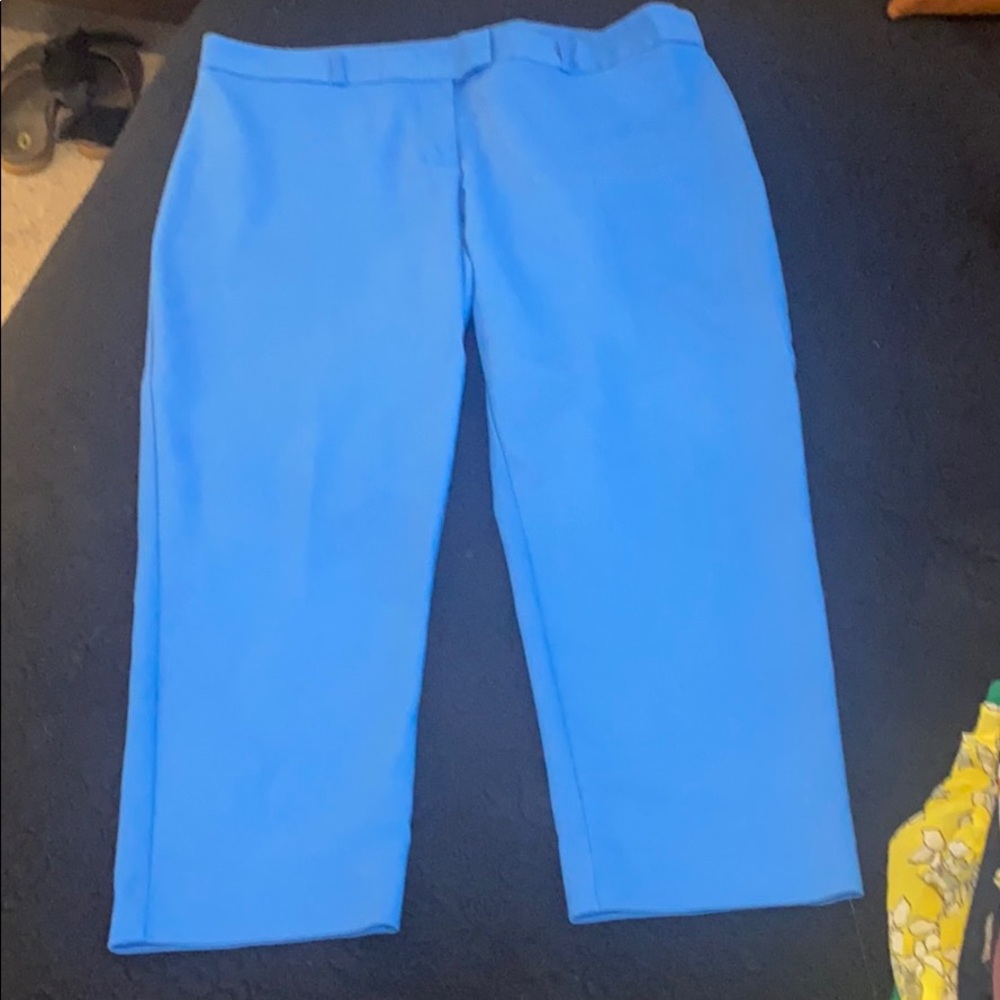 Dress pants